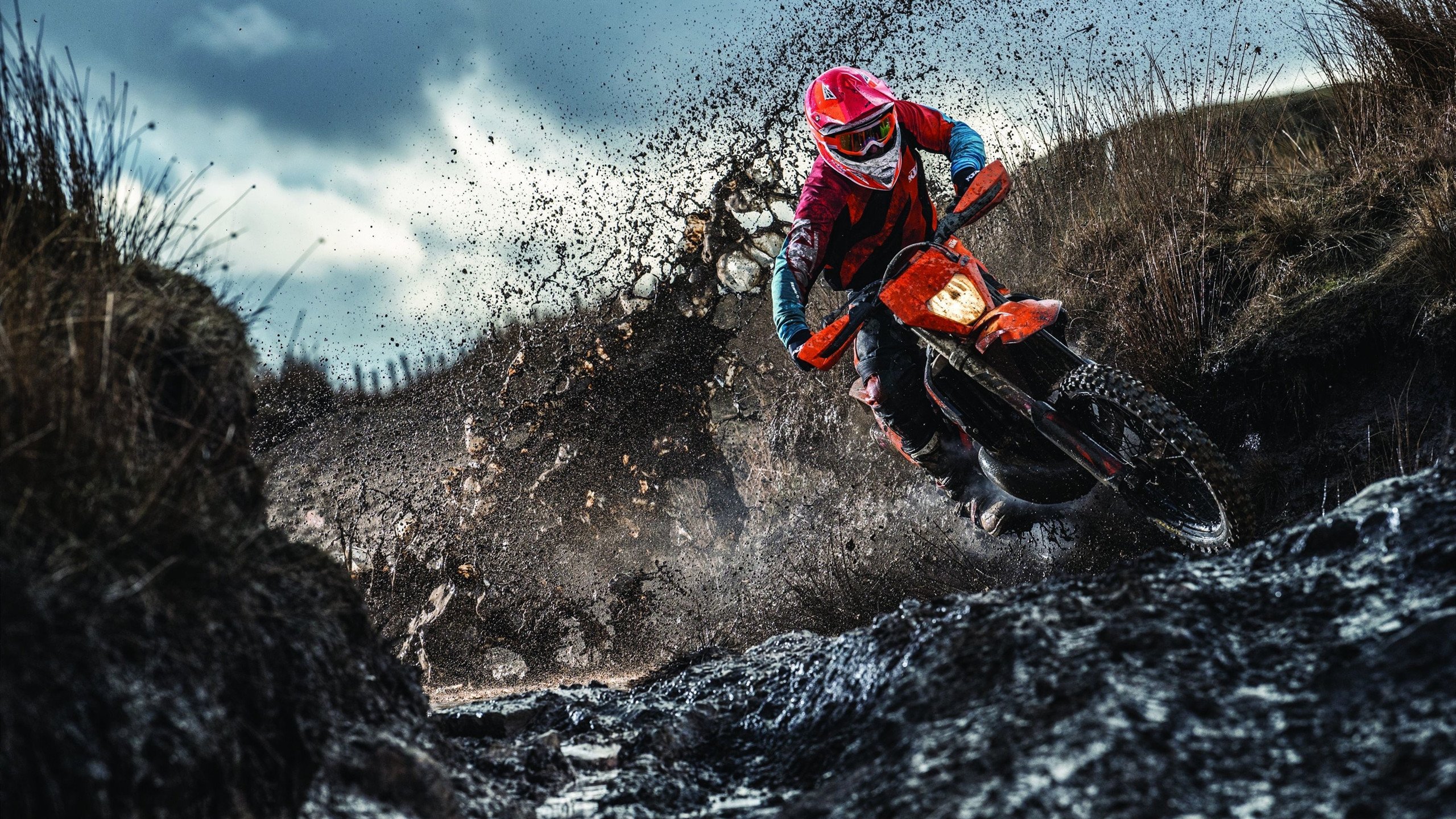 CS2 赛事观众人数屡创新高，cs2_2012