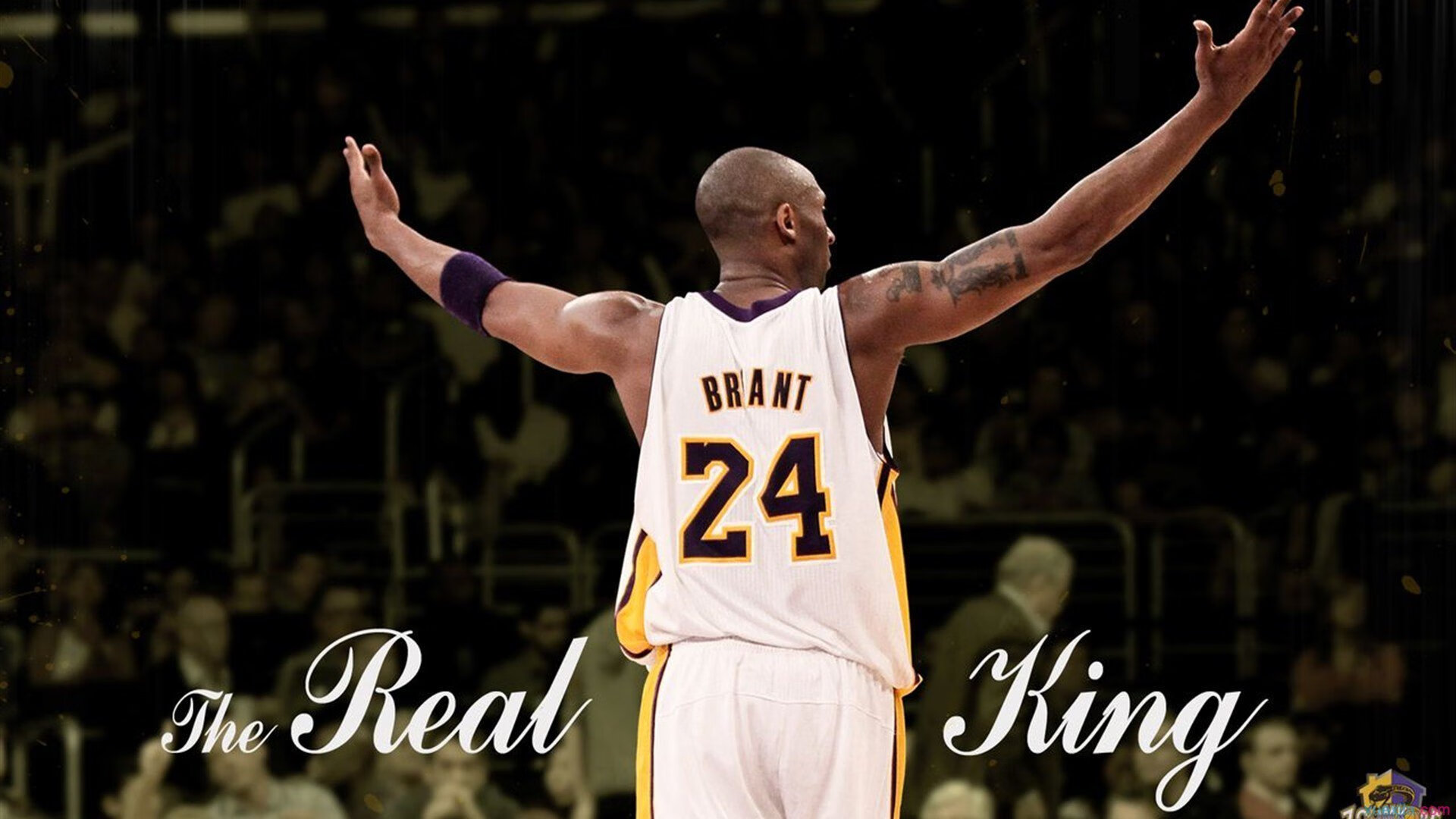 健身房数量增加，满足大众需求，健身房的市场容量及市场占有率